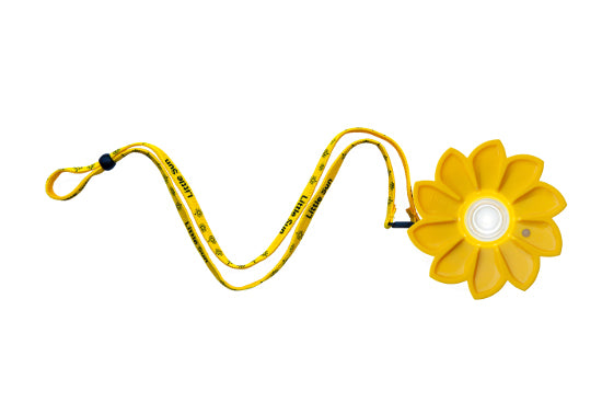 Little sun solar light and charger new arrivals