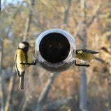 Window Birdfeeder