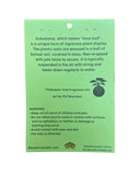 Kokedama Air Freshener