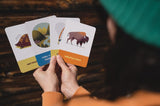 Campfire Stories Deck for Kids: Storytelling Games to Ignite Imagination