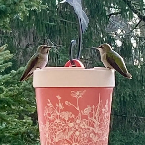 Insulated Hummingbird Feeder