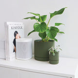 Hemlock Planter - 4"