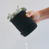 Hemlock Planter - 4"