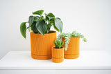 Hemlock Planter - 4"