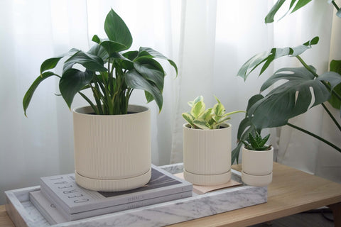 Hemlock Planter - 2"