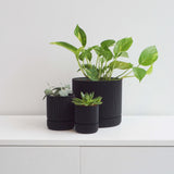Hemlock Planter - 4"
