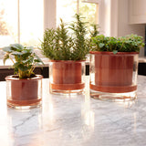 Self-Watering Wet Pots - Sold Individually