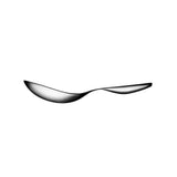 Citterio Stainless Steel Serving Spoon