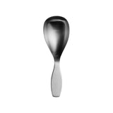 Citterio Stainless Steel Serving Spoon