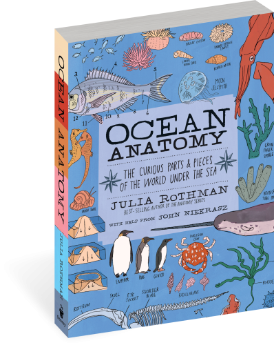 Ocean Anatomy: The Curious Parts & Pieces of the World Under the Sea