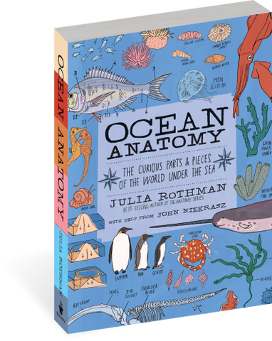 Ocean Anatomy: The Curious Parts & Pieces of the World Under the Sea