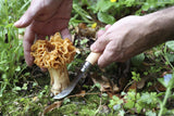 Opinel No.08 Mushroom Folding Knife
